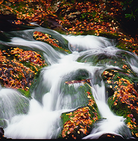 Fall scenery waterfall Cades Cove Great Smoky Mountains Nature Photography