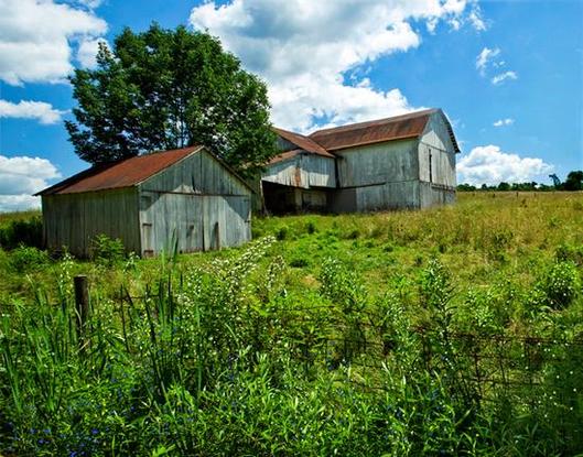 Beautiful Scenery Gray barn on Ohio farmland