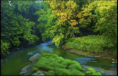 Green Killbuck Creek in the summer time