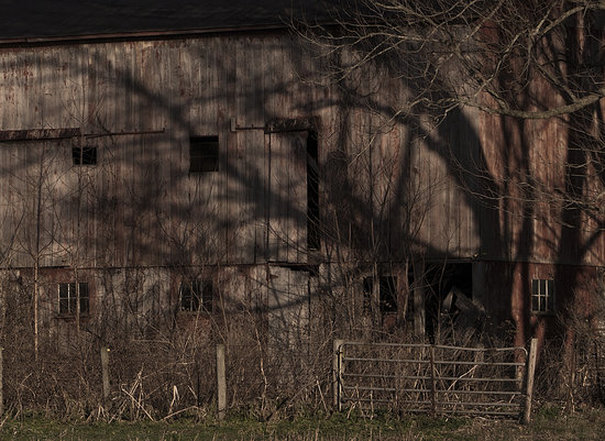 Ohio barn with tree and shadows