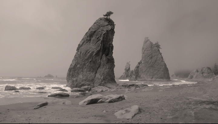 Sepia Beach Photography Oregon Rocks