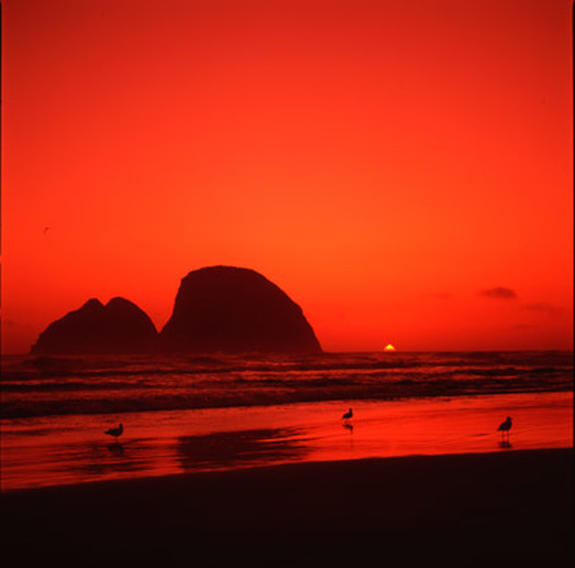 Oregon Beach Red Sunset Picture