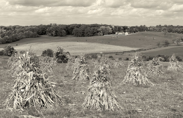 Ohio Amish Farmland Sepia Photography