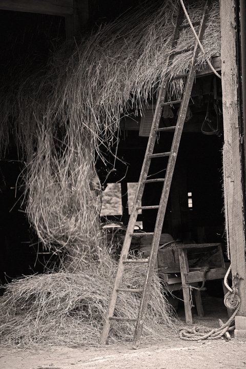 Hay and Ladder in a Barn Sepia Photography