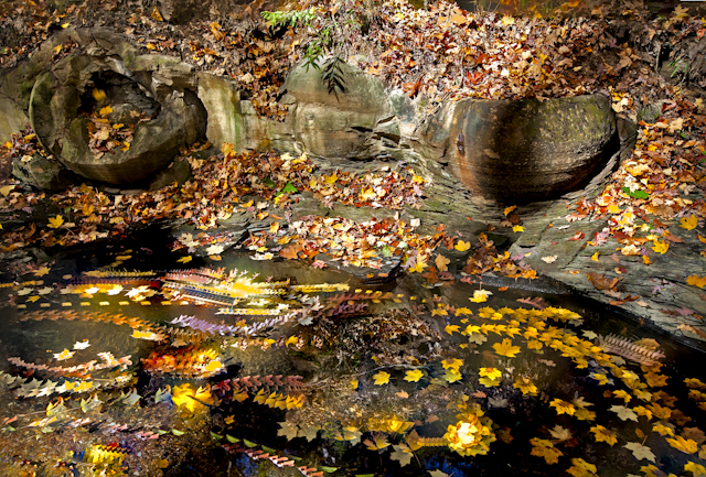 Ohio fall scenery High Banks Metro Park Columbus Nature Photography