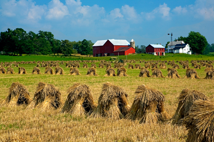 Ohio Farmland Scenic Photography