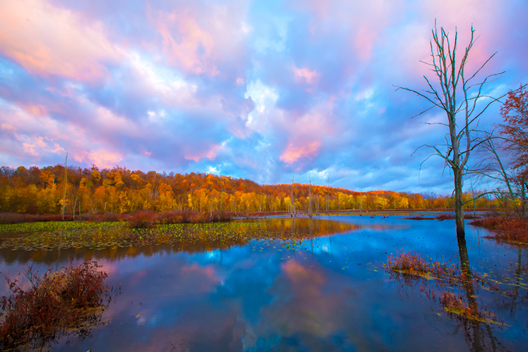 Beautiful Ohio Fall Scenery Killbuck Marsh