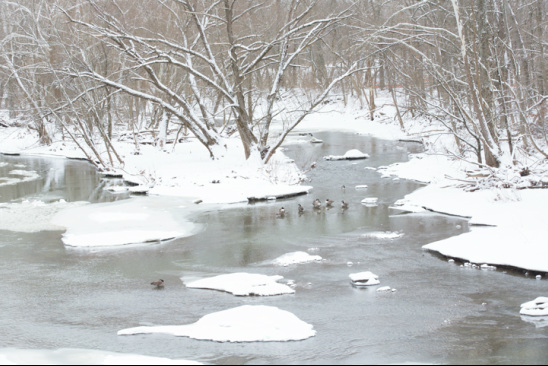 Olentangy River Beautiful Ohio Winter Scenery