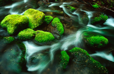 Nature photography of water and mossy rocks in the Smoky Mountains