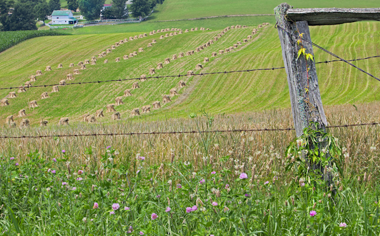 Scenic Ohio Farmland Photography
