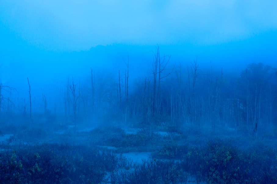 Blue foggy dawn at Killbuck Marsh