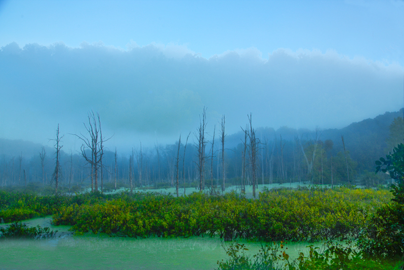 Blue Green Aqua Colored Fog and Swamp at Killbuck Ohio Wetlands