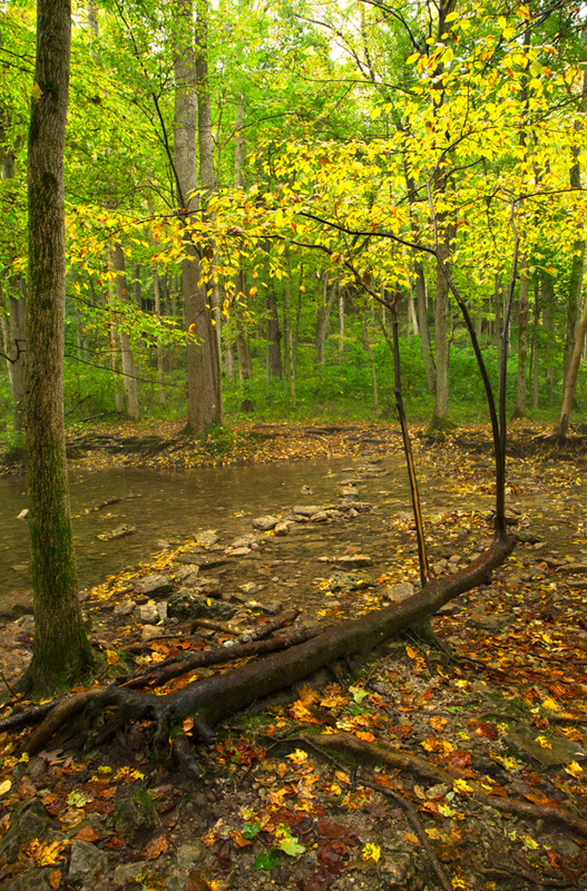 Glen Helen Preserve Yellow Springs Ohio