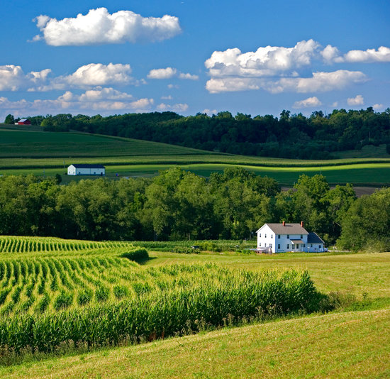 Scenic Ohio Amish Farmland Landscape Photography