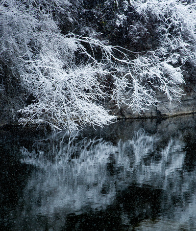 Blue Limestone snow covered trees and reflection pond