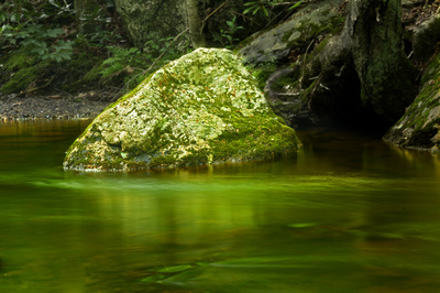 Green rock in Howard's Creek