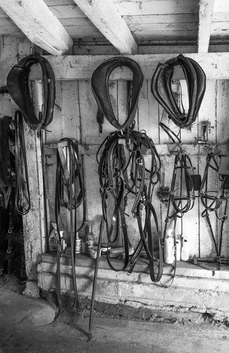 Horse Saddles and Stable Photography Wall Art
