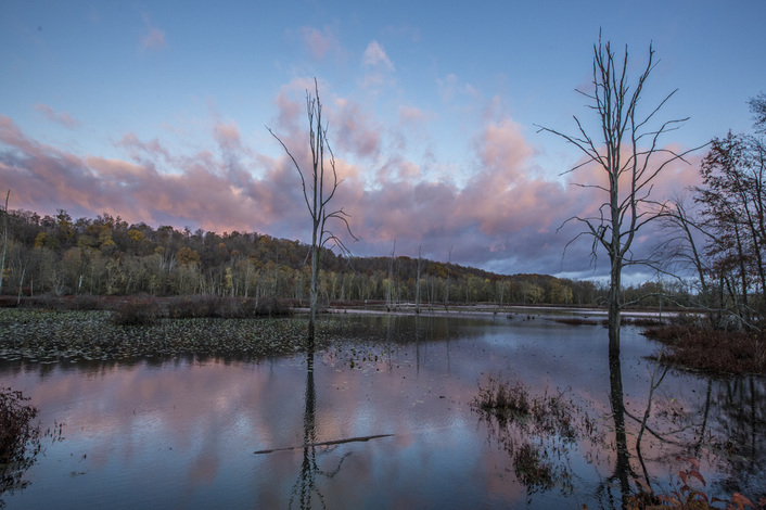 Pink Sunset and Fall Scenery at Killbuck Wetlands