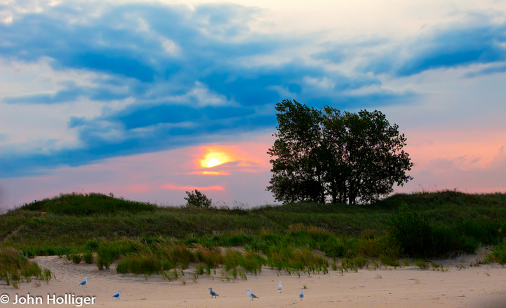Seagulls at Ludington Michigan Beach