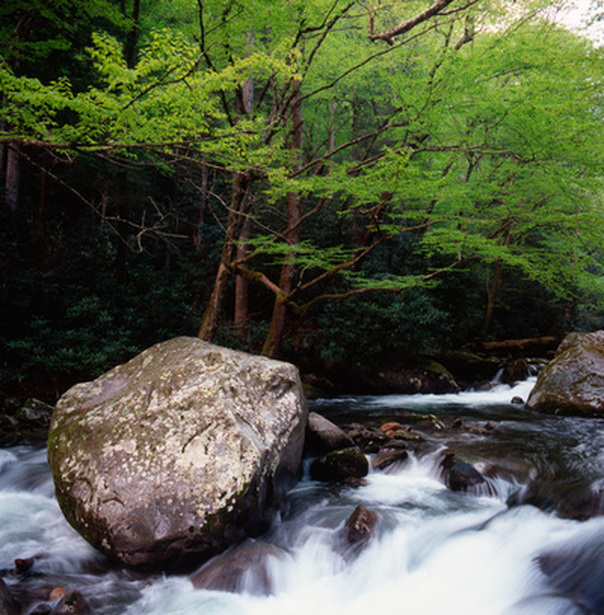 Big Creek Cataloochee Great Smoky Mountains Waterfall Zen Art