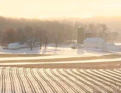 Amish farmland in winter