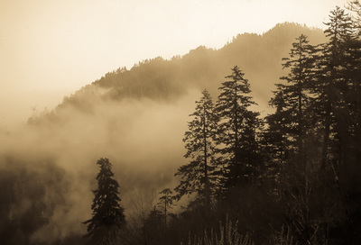 Smoky Mountains Black and White Photography