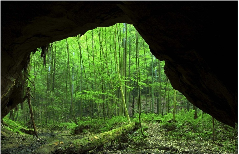 Beautiful Ohio Summer Scenery Nature Photography Cave and Green Tree Forest