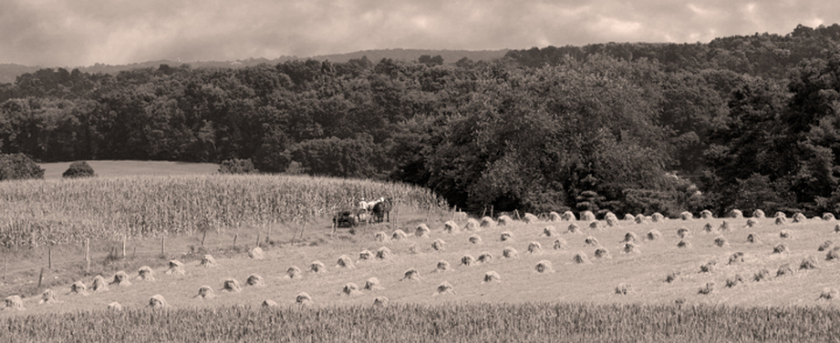 Ohio Farmland Sepia Landscape Photography