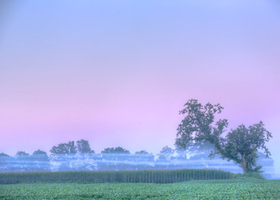 sunrise over an Ohio cornfield