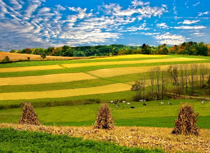 Beautiful Ohio landscape photography farmland fall scenery