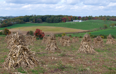 Fall landscape photography of Farmland in Holmes County Ohio
