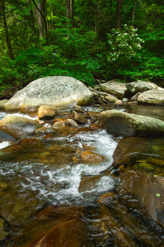 Roaring Fork Great Smoky Mountains Nature Photography