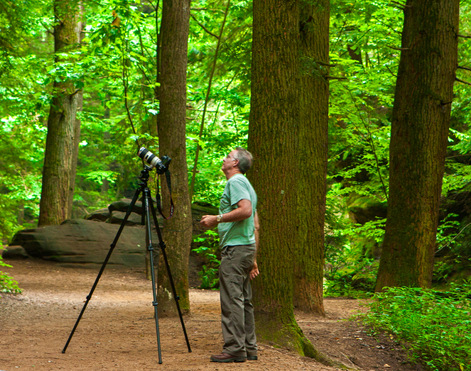 John Holliger nature photographer among the trees