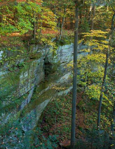 Cantwell Cliff in the fall