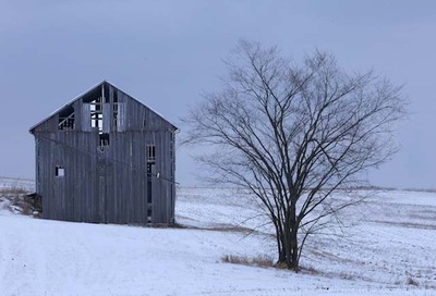 Old gray barn in the winter snow in Holmes County, Ohio
