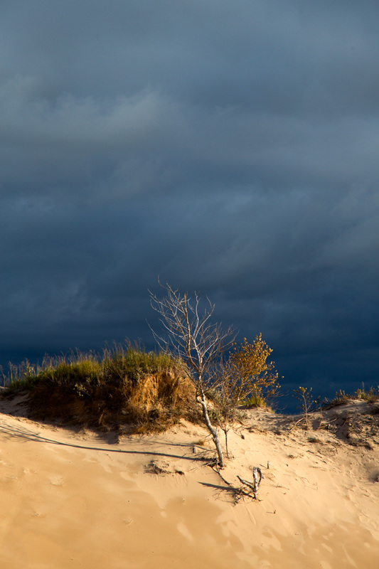 Michigan Sand Dunes and Thunderstorm Picture