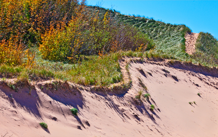 Michigan Sand Dunes Nature Photography