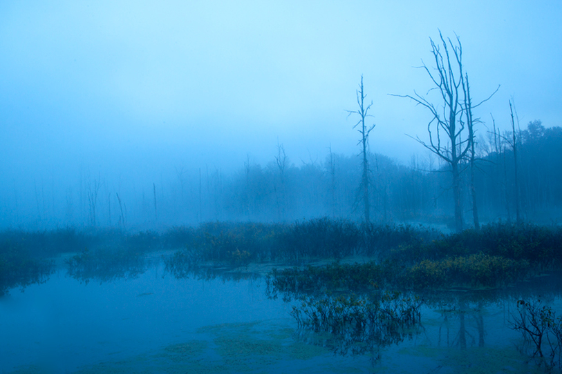 Blue mist over Killbuck Wetlands