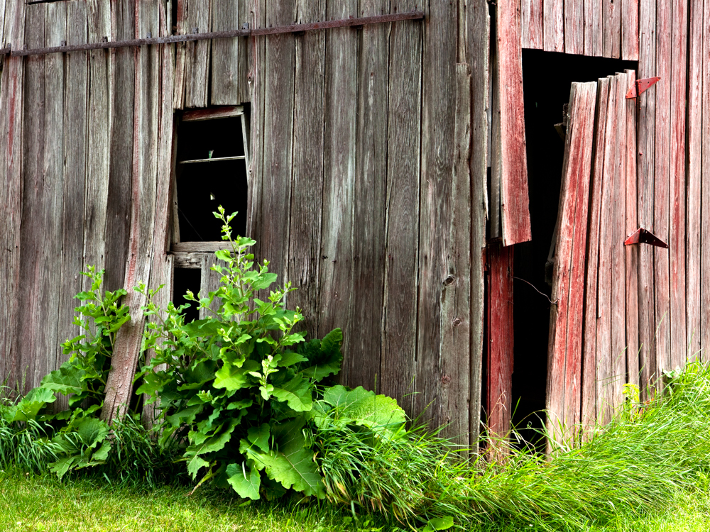 Old red barn photography