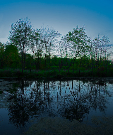 Reflections at Dawn Ohio Nature Photography