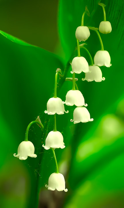 white bell flowers