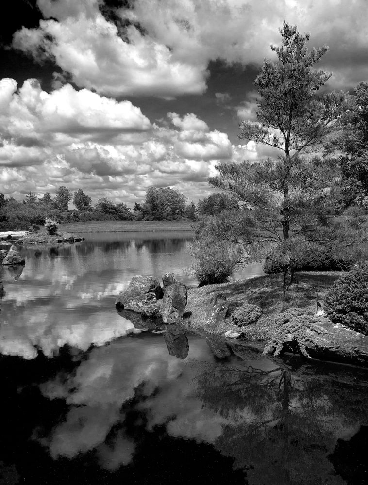 Dawe's Arboretum Black and White Japanese Garden Photography
