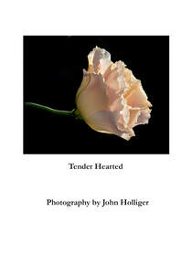 Nature Photography Books